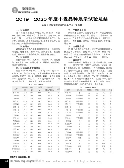 2019—2020 年度小麦品种展示试验总结