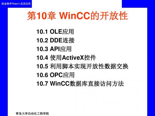 第10章 WinCC的开放性-59页PPT精品文档