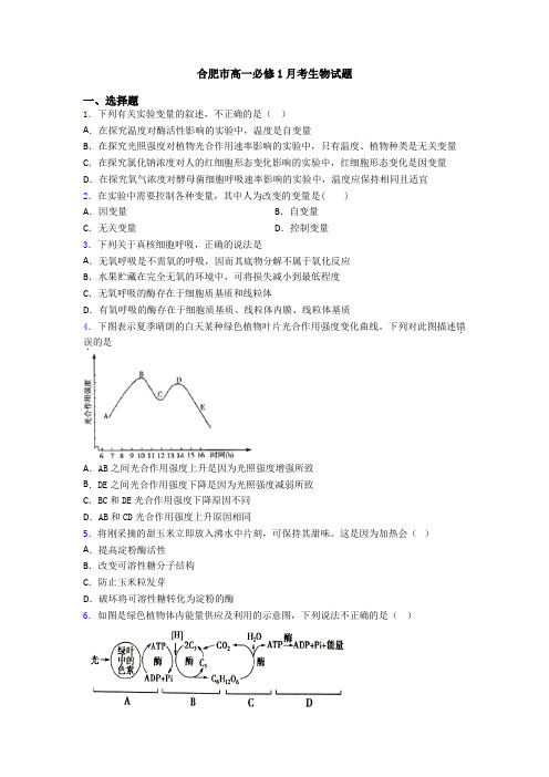 合肥市高一必修1月考生物试题