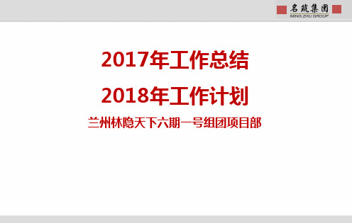 某集团项目工作汇报(30张)PPT