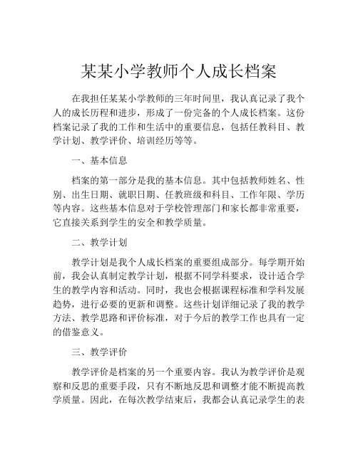 某某小学教师个人成长档案