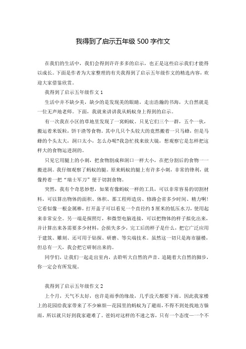 我得到了启示五年级500字作文