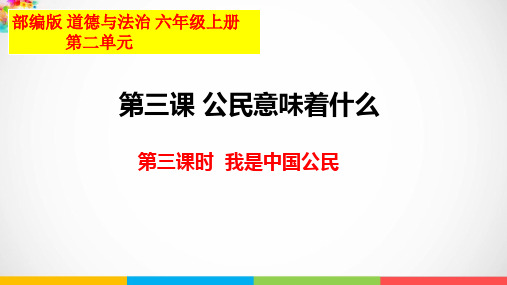 3.公民意味着什么(第3课时)