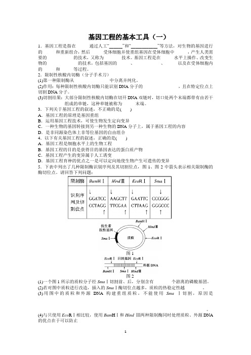 基因工程的基本工具(一)