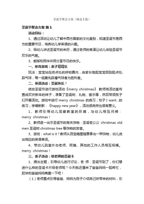 圣诞节聚会方案（精选3篇）