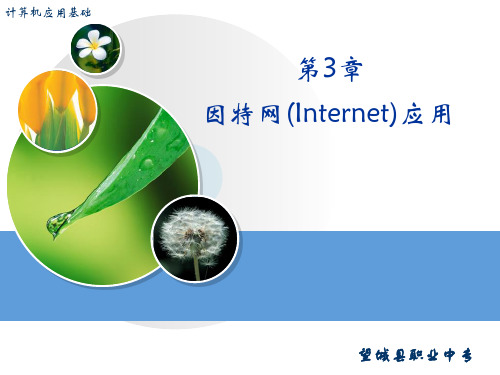 第3章因特网(Internet)应用
