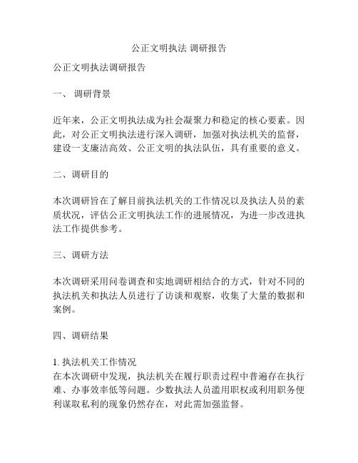 公正文明执法 调研报告