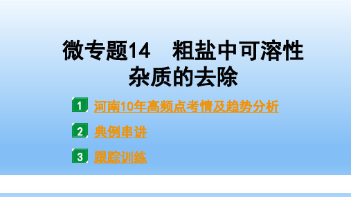 中考化学 粗盐中可溶性杂质的去除