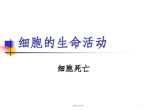 医学细胞生物学细胞死亡ppt课件