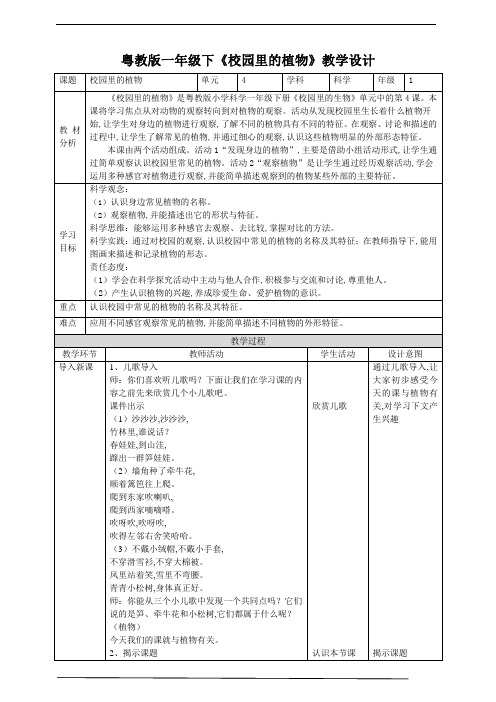 小学科学粤教粤科版 一年级科学下册 《校园里的植物》教案