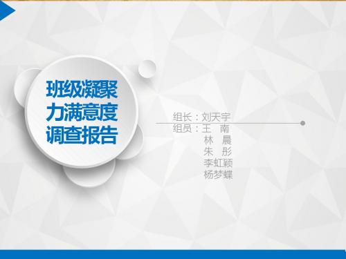 8.3.2满意度调查汇报展示--fighter班级凝聚力