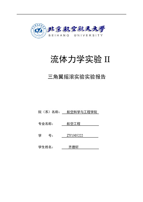三角翼摇滚实验