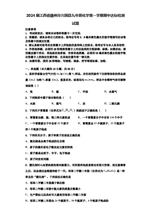 2024届江西省赣州市兴国县九年级化学第一学期期中达标检测试题含答案解析