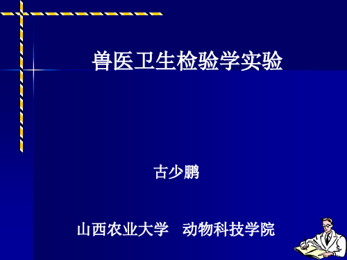 兽医卫生检验实验教程