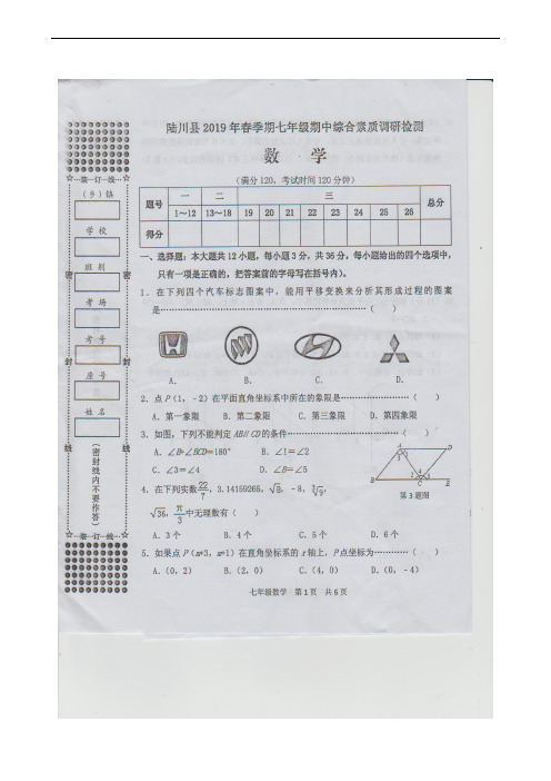 广西玉林市陆川县2018-2019学年七年级下学期期中考试数学试题(扫描版)