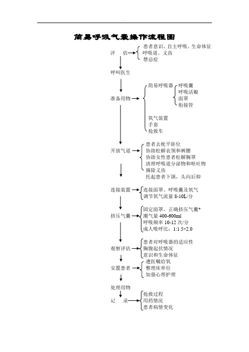 简单呼吸气囊操作技巧经过流程