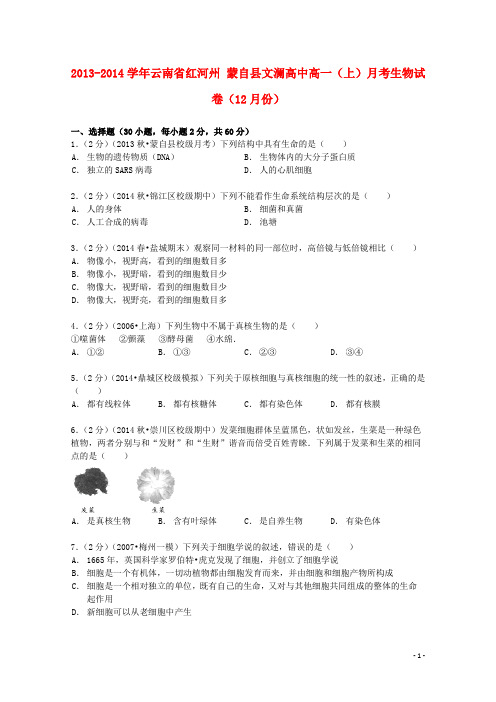 云南省红河州蒙自县文澜高中高一生物上学期12月月考试卷(含解析)