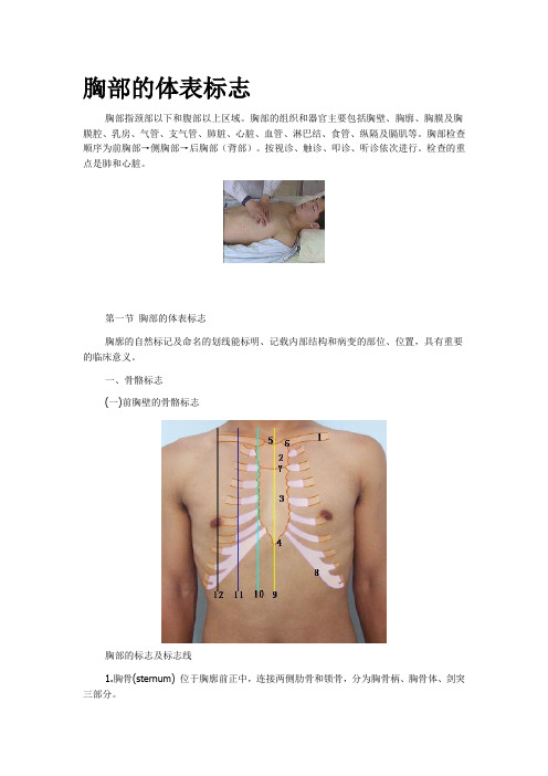 体格检查——胸部检查11