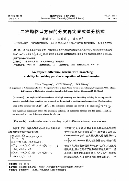 二维抛物型方程的分支稳定显式差分格式