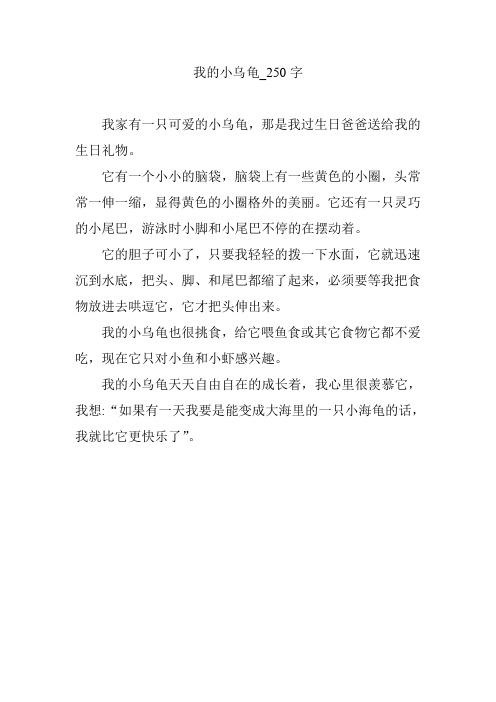 我的小乌龟【作文案例】250字