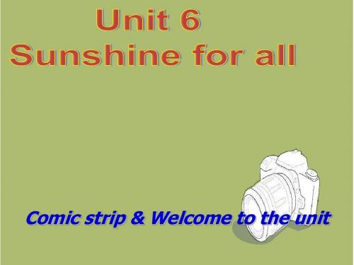 牛津译林版八年级英语下Unit6 Sunshine for all课件(30张PPT)