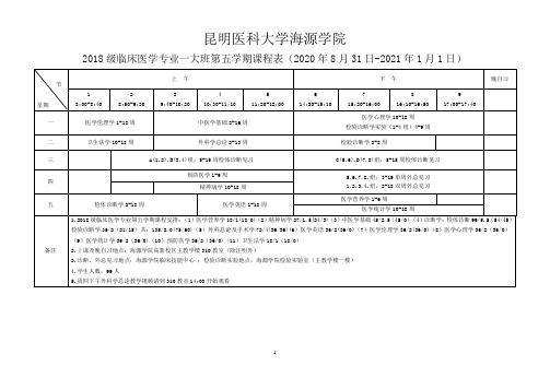 昆医大海源学院2020年秋季学期高新校区2018级课表(2)