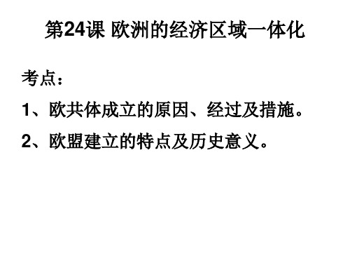 岳麓书社版高中历史必修二5.24《欧洲的经济区域一体化》课件(30张)(共30张PPT)