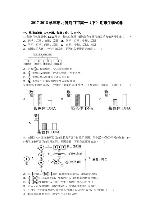 湖北省荆门市2017-2018学年高一下学期期末生物试卷 Word版含解析