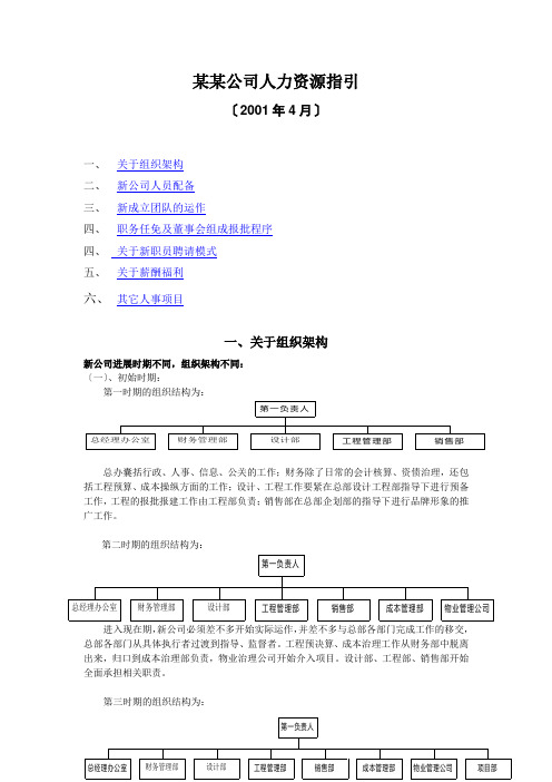 某某公司人力资源指引