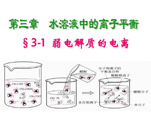 弱电解质的电离