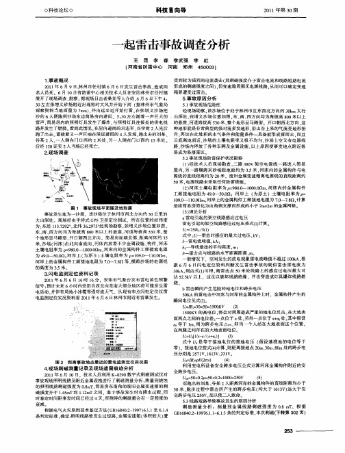 一起雷击事故调查分析