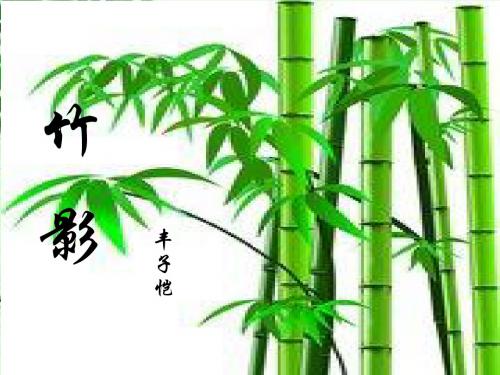 竹影PPT课件151 鲁教版 (共55张PPT)