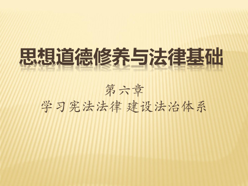 第六章学习宪法法律建设法治体系(15版)案例