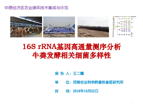 16S rRNA基因高通量测序分析 牛粪发酵相关细菌多样性