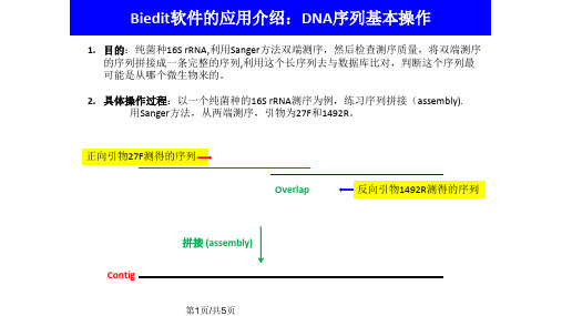 Bioedit操作指南