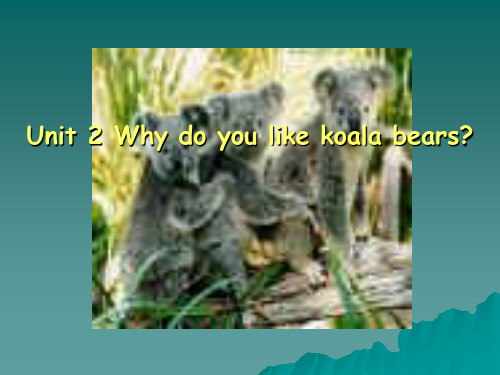 unit2 Why do you like koala beras PPT课件