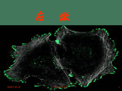 应激应激反应的基本表现.pptx