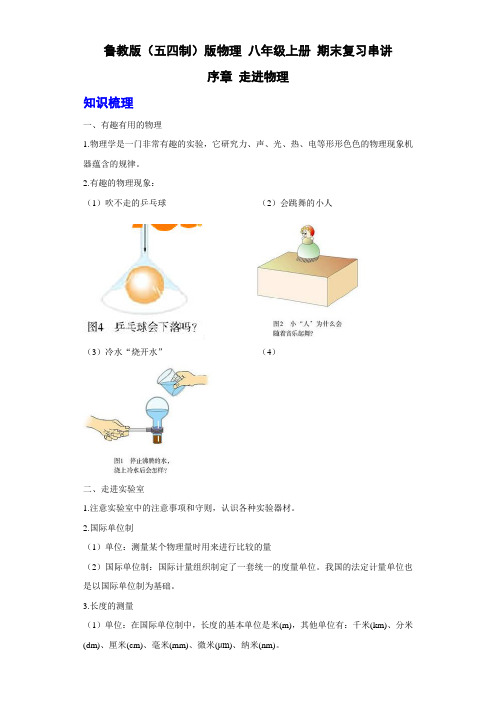 鲁教版(五四制)版物理 八年级上册 期末复习串讲 序章 走进物理 专题(解析版)