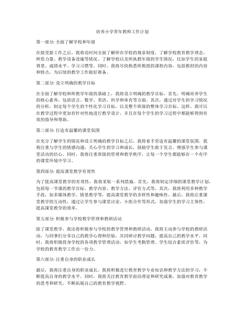 培养小学青年教师工作计划