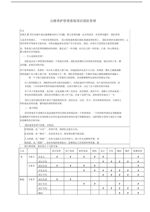 项目团队管理方案.doc