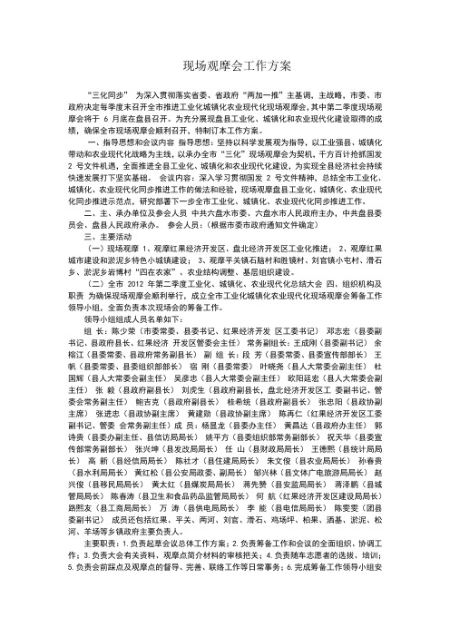 现场观摩会工作方案