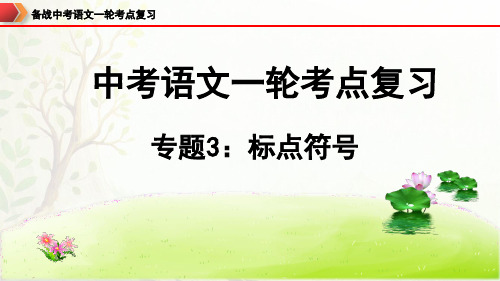 中考语文一轮复习之标点符号专项复习PPT课件