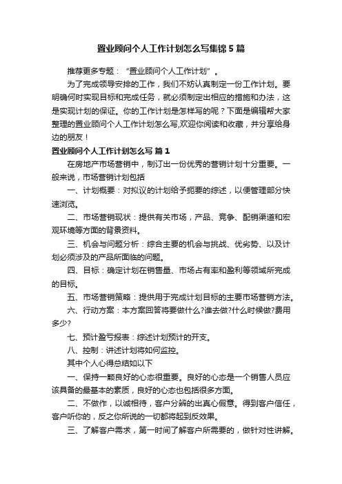 置业顾问个人工作计划怎么写集锦5篇