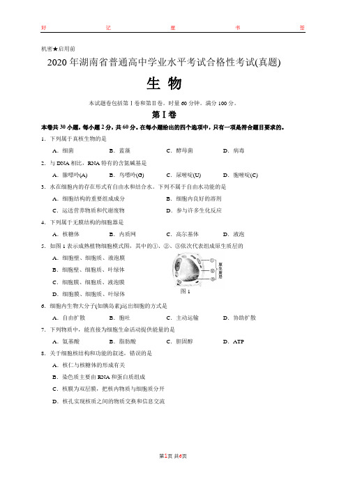 2020年湖南省普通高中学业水平考试合格性考试生物试卷(含答案)