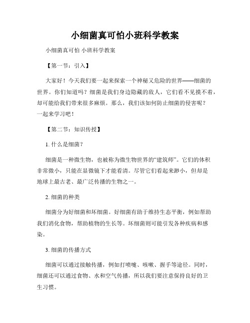 小细菌真可怕小班科学教案