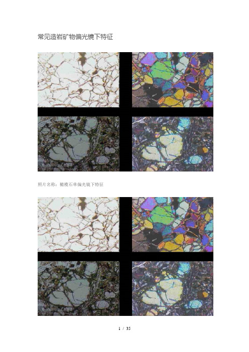 常见的造岩矿物偏光镜下特征