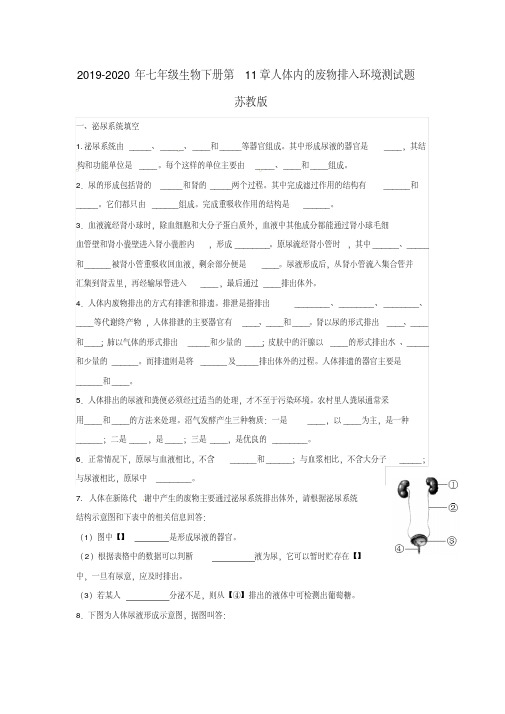2019-2020年七年级生物下册第11章人体内的废物排入环境测试题苏教版