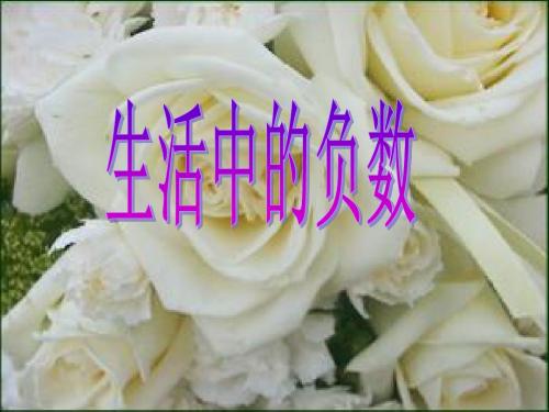 2019年最新-五年级下数学课件-生活中的负数_冀教版-精选文档