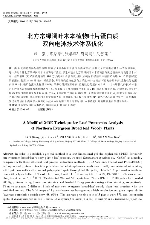 北方常绿阔叶木本植物叶片蛋白质双向电泳技术体系优化