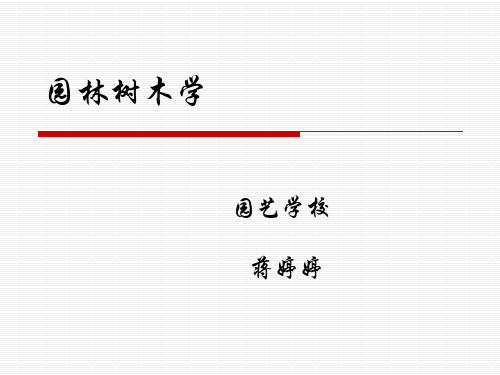 人为分类方法